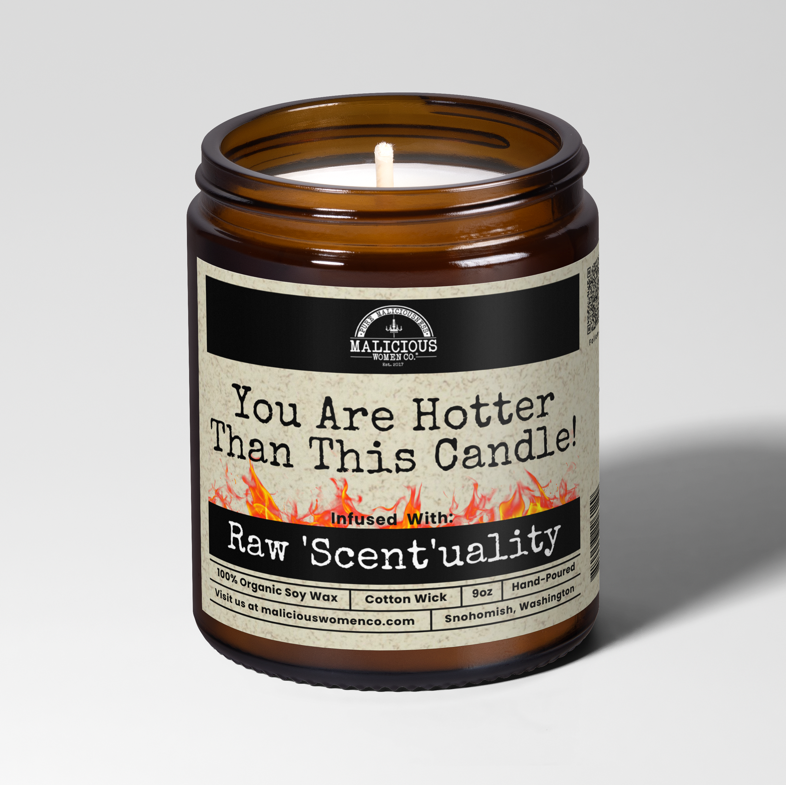 You Are Hotter Than This Candle | 9oz Funny Candle | Malicious Women Co