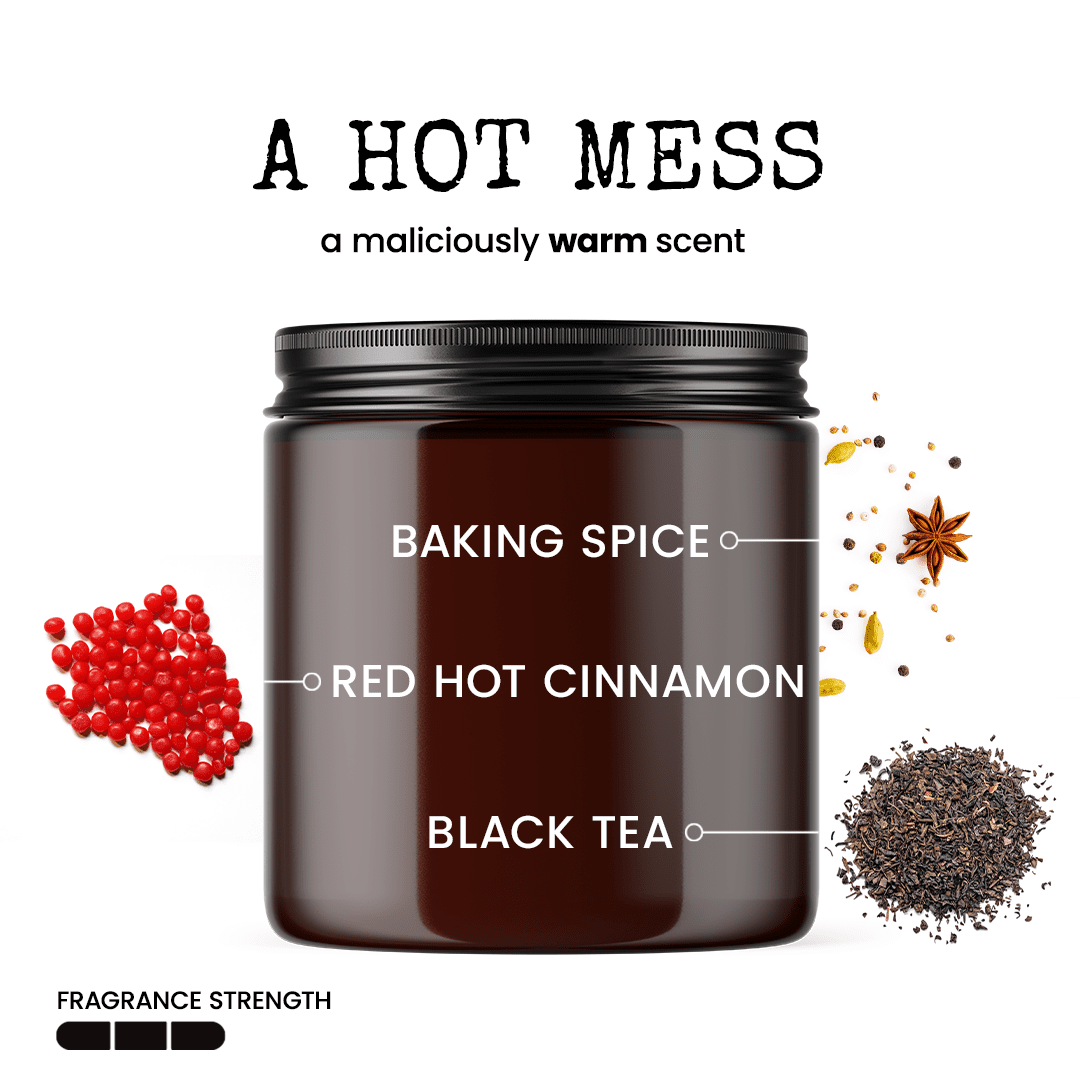 I’m A F’n Professional! 9oz Work Candle Malicious Women Co - Malicious Women Co. - Candle