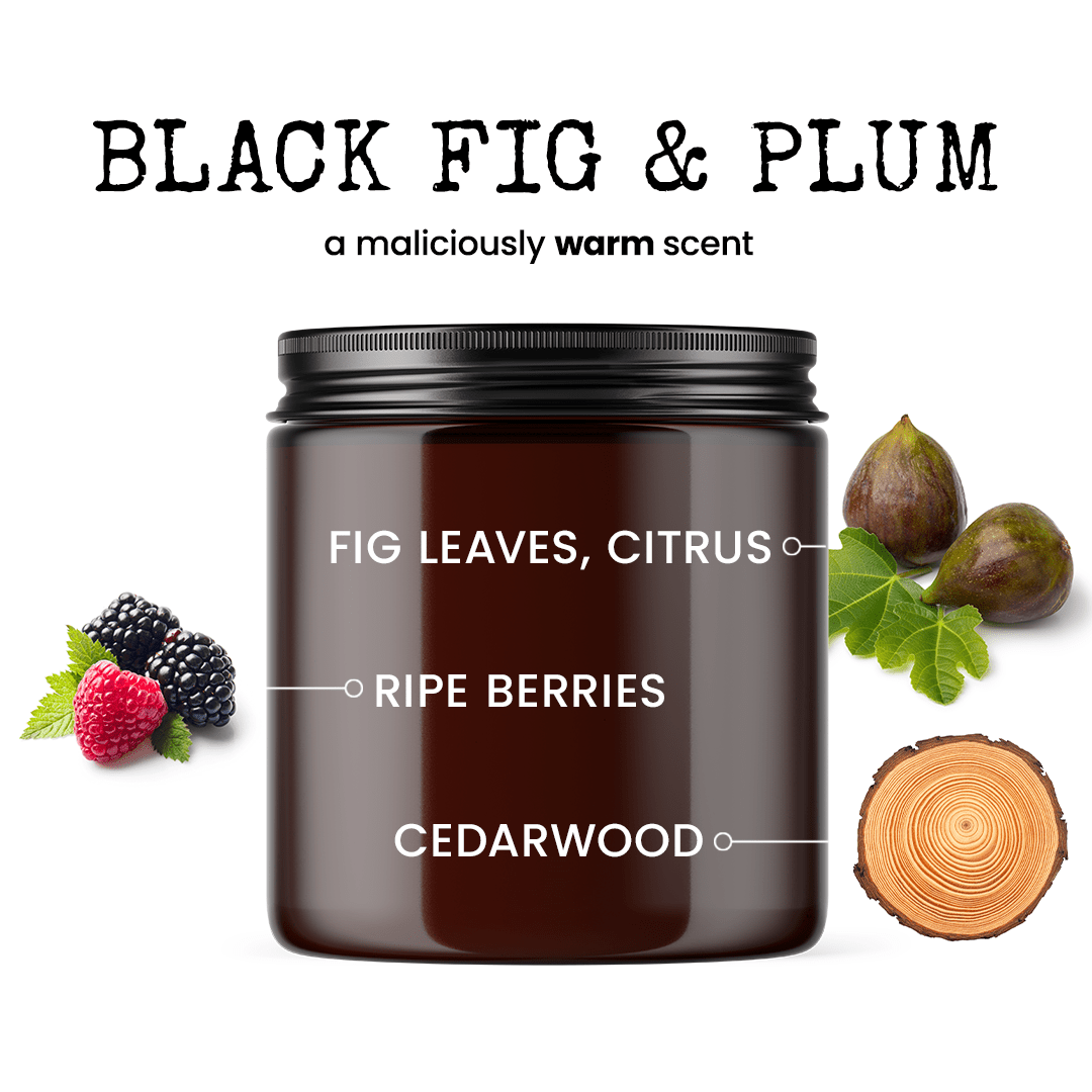 Irregardless & For All Intensive Porpoises Were Always Their For each Other... 9oz Funny Candle Malicious Women Co - Malicious Women Co. - Candle