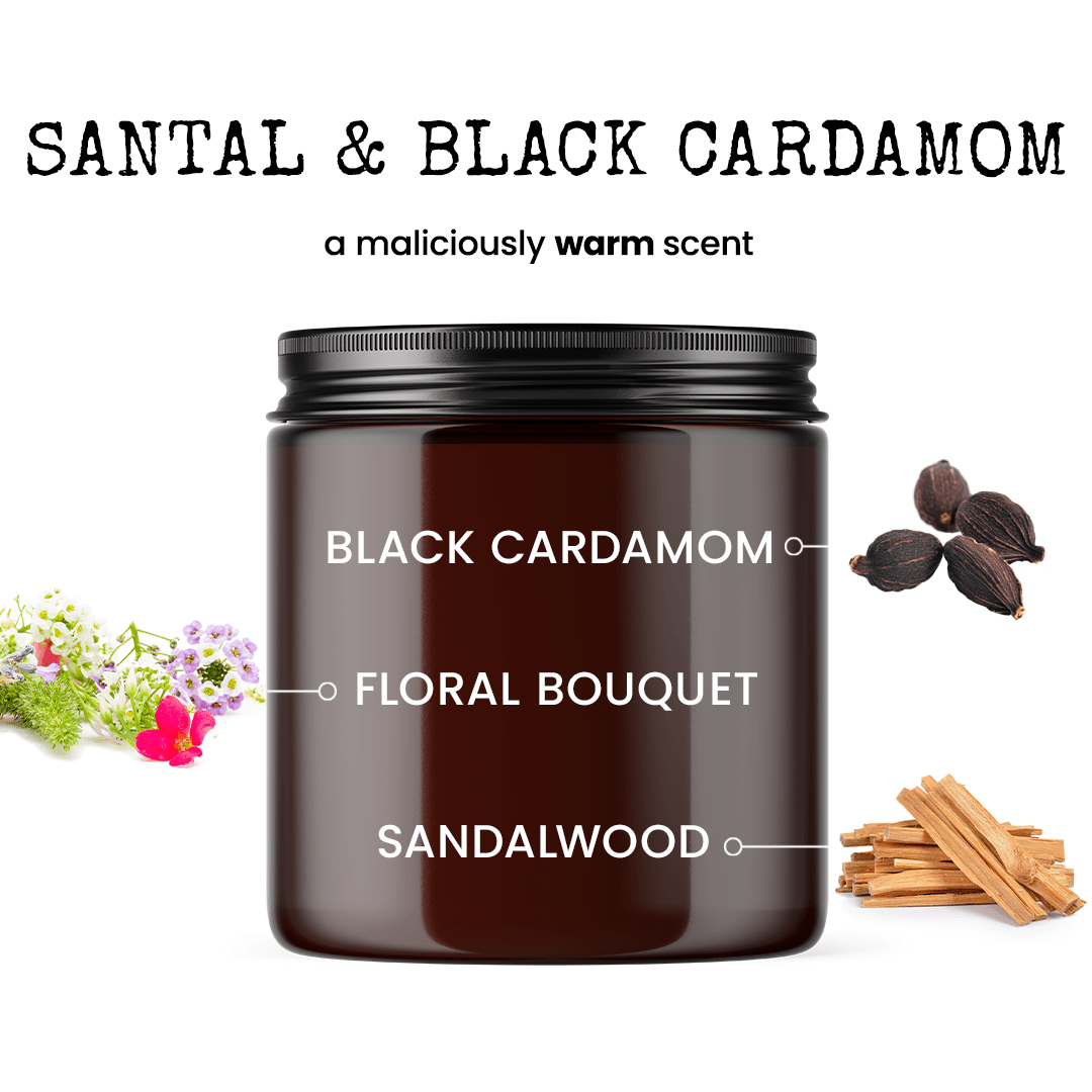 It's Already Been A Day 9oz Funny Candle Malicious Women Co - Malicious Women Co. - Candle