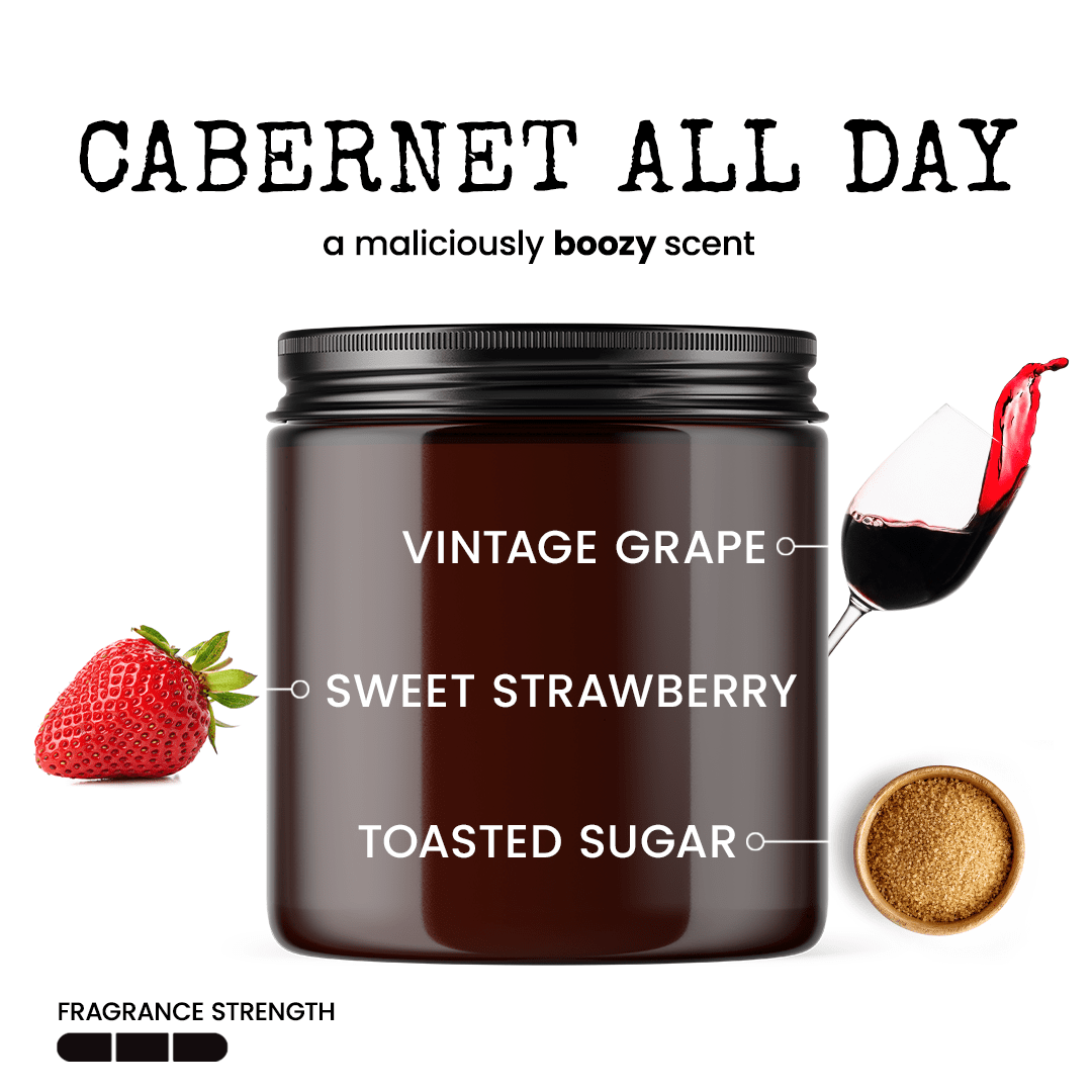 It's Already Been A Day 9oz Funny Candle Malicious Women Co - Malicious Women Co. - Candle