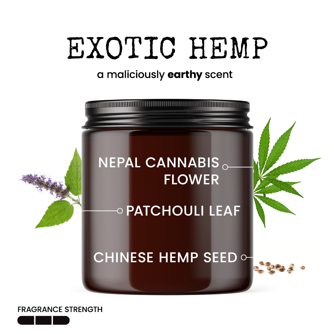 What The F*ck Is Happening 9oz Family Candle Malicious Women Co - Malicious Women Co. - Candle